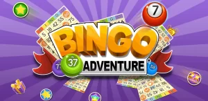 Bingo Adventure